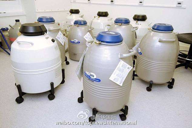 【英国 2岁女童冷冻卵子 】