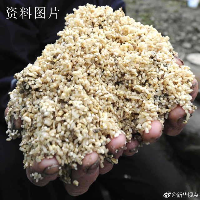 浙江大学研发出新型电池 “原料”竟来自发霉大米