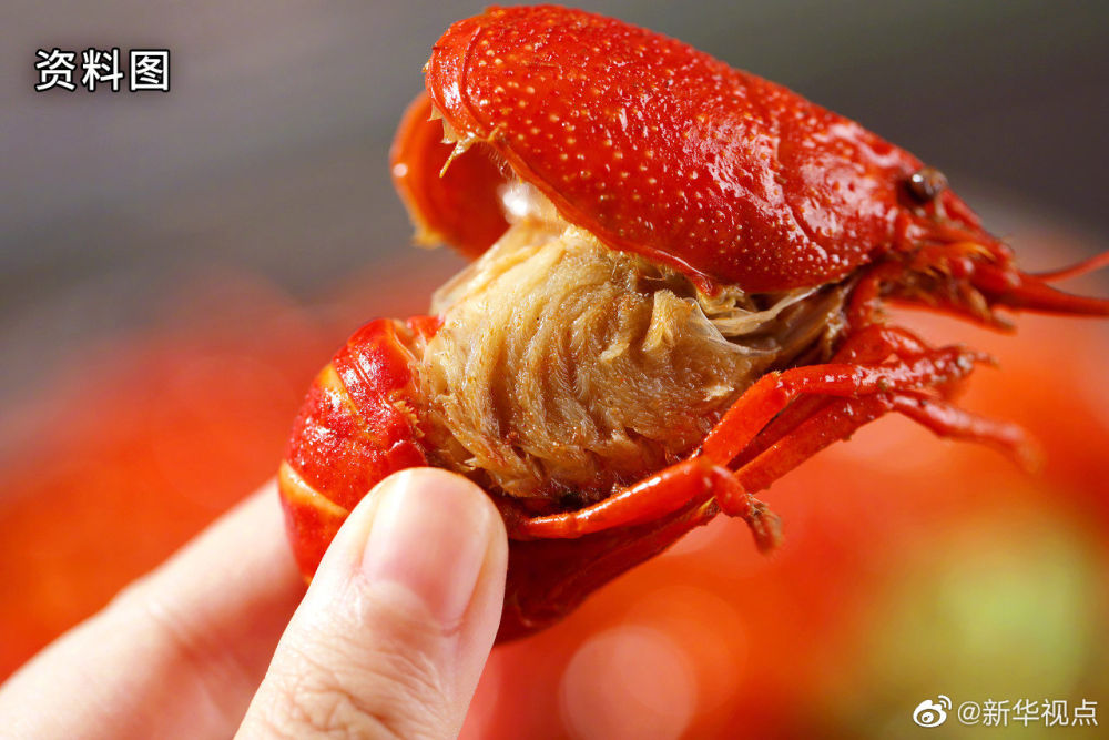 [新华视点]下单了吗？各大电商平台累计销售湖北农产品79.6万吨