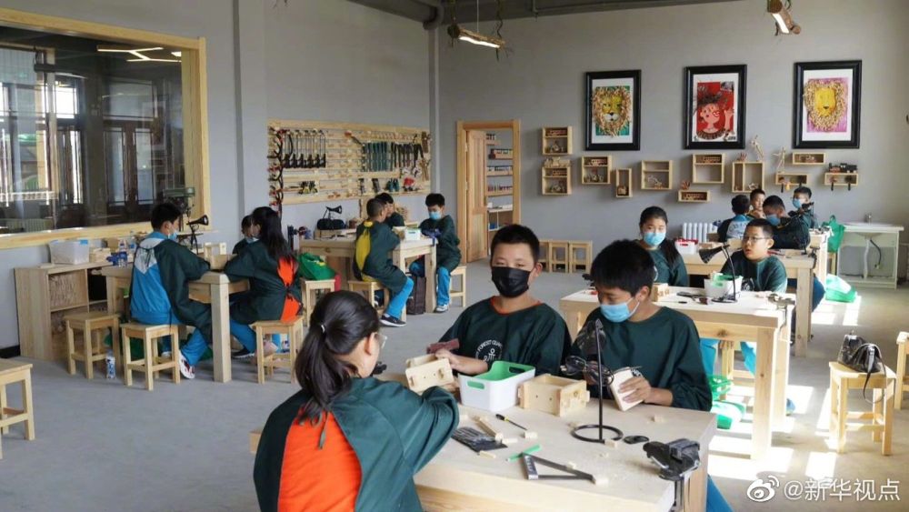 “朽木”可雕也！看林区朽木七十二变