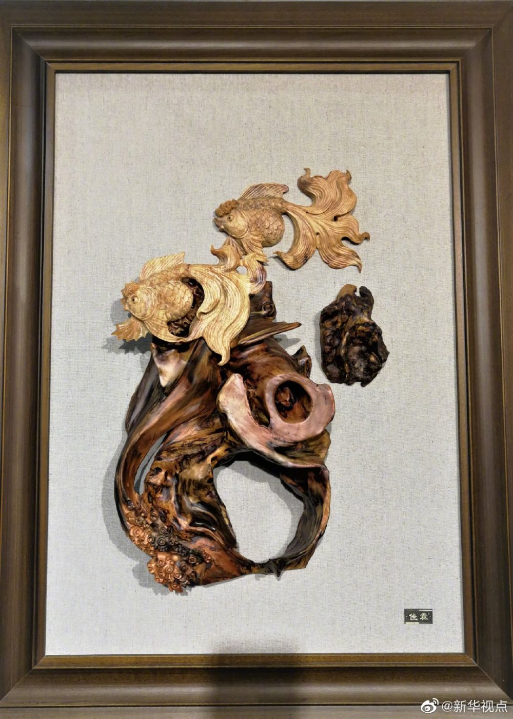 “朽木”可雕也！看林区朽木七十二变