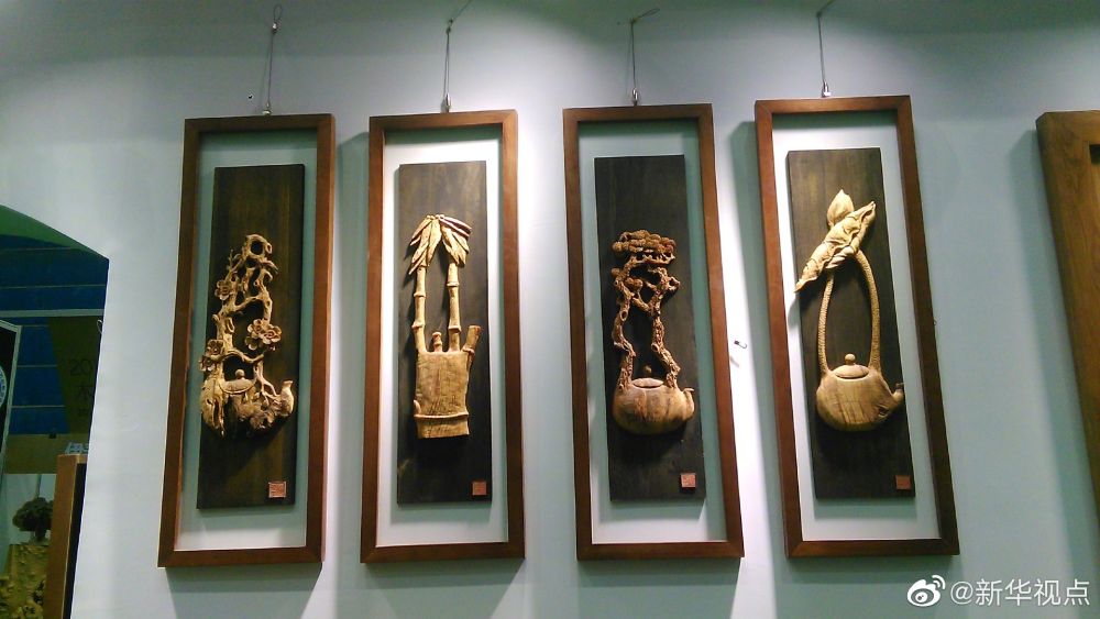 “朽木”可雕也！看林区朽木七十二变