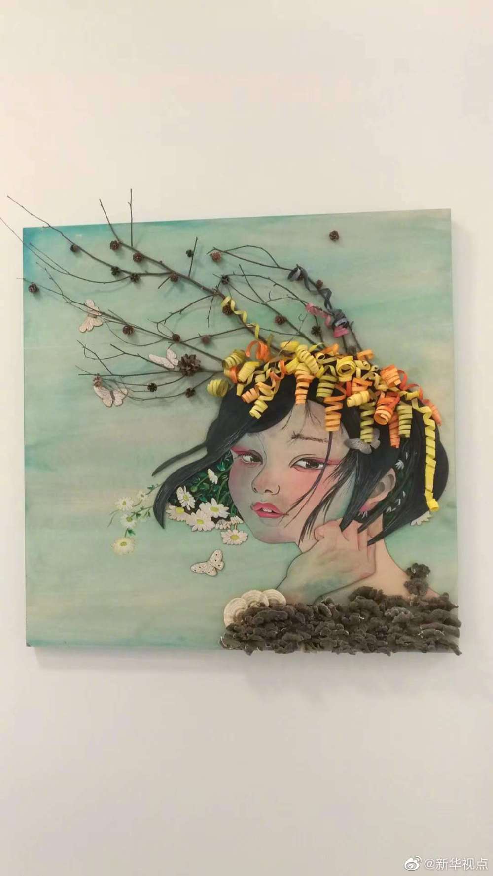 “朽木”可雕也！看林区朽木七十二变