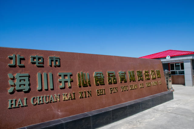余锋:"傻老大"闯市场