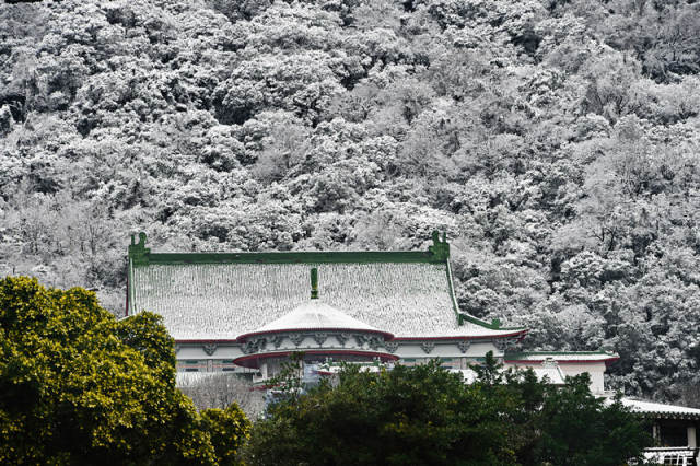 (阳明山雪景 张国俊摄)