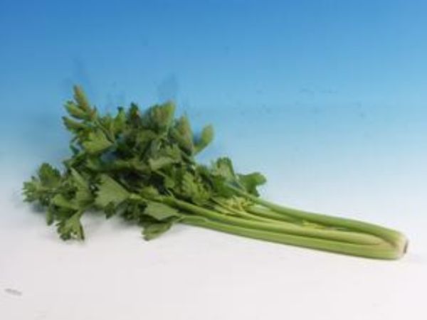 三人盗贼团用 芹菜 作 掩护 偷窃 金项链 