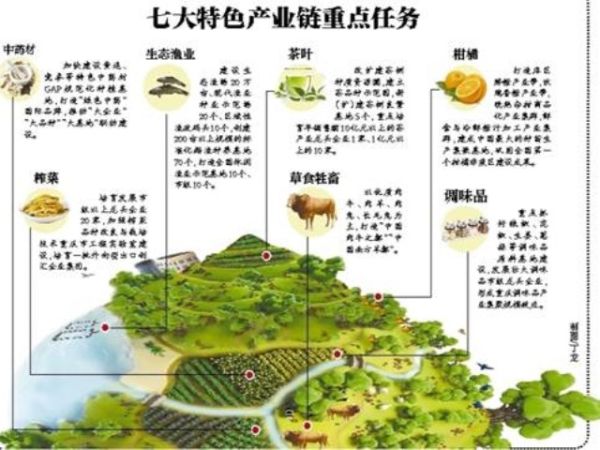 重庆主攻七大特色产业链建设 促进农业转型升