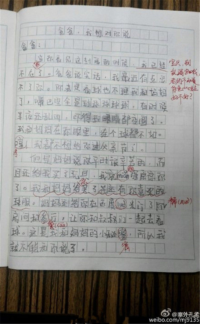  小学生 写作文 吐槽父亲 看欧洲杯:我连个球都不