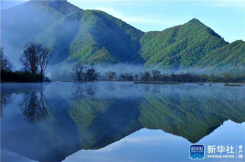 ↑神农架大九湖高山湿地风光(2012年5月16日摄)。 新华社记者 杜华举 摄 ↑神农架大九湖高山湿地风光(2012年5月16日摄)。 新华社记者 杜华举 摄