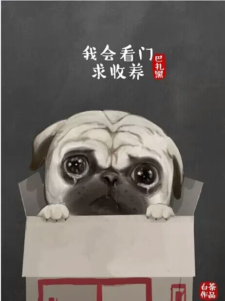 以条纹t恤 短裤 人字拖的"铲屎官"形象出场的插画师白茶,本名梁科栋