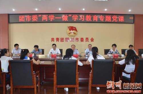 团市委召开“两学一做”学习教育党课