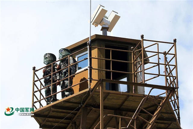  蚊虫王国  巡逻兵 :一掌拍死50多只蚊子