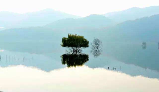 慢读时间丨林清玄:常想一二