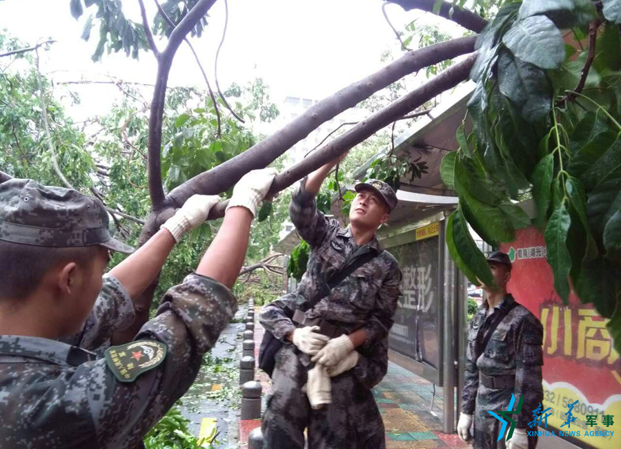 第31集团军某防空旅官兵在厦门嘉禾路疏通道路.胡旰晖 摄