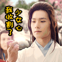 【IN语角】快上保心丸，老夫的少女心快收不住了