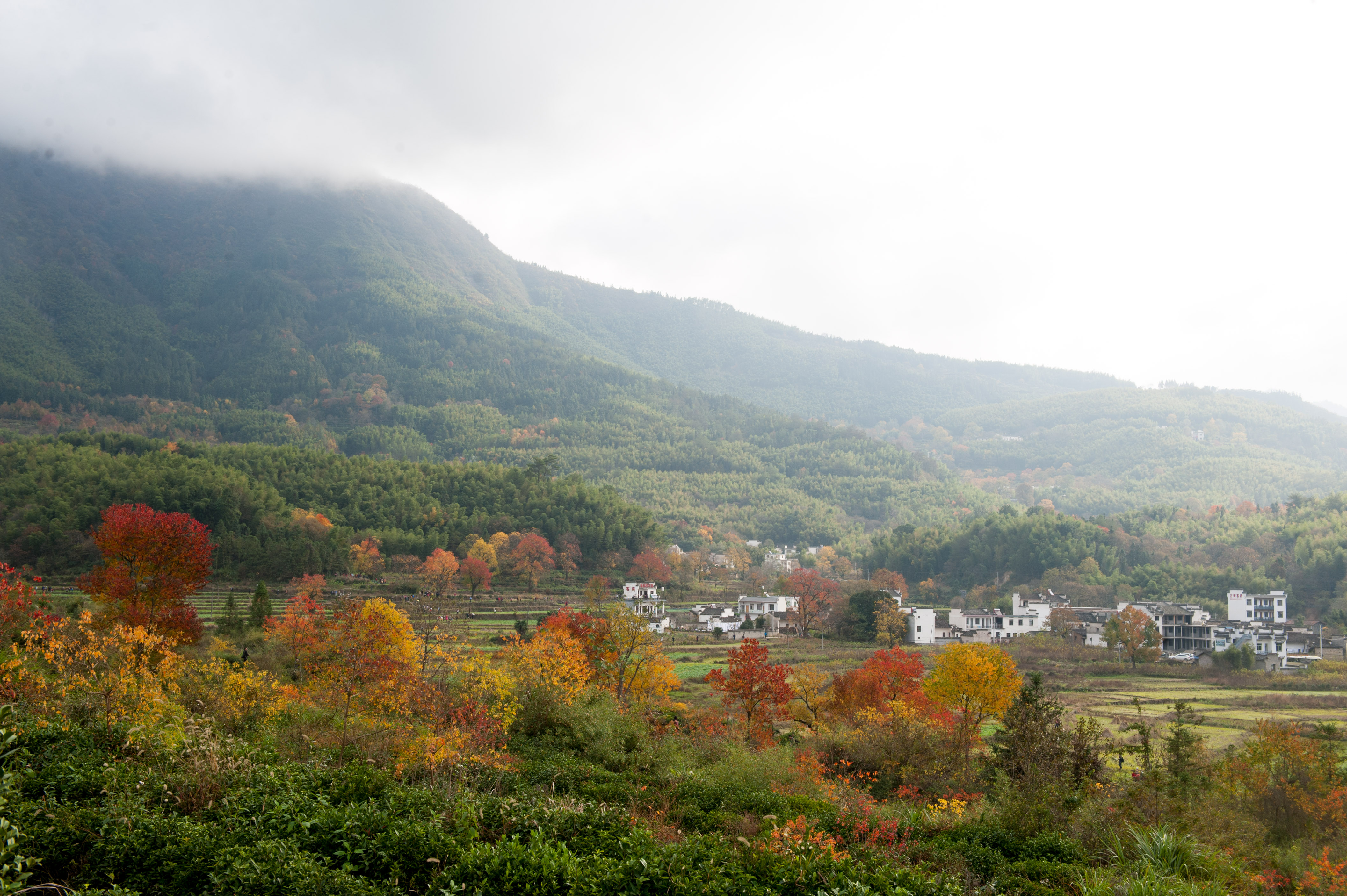 安徽黄山——皖南冬景美不胜收