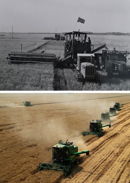 图为上世纪50年代和2014年分别拍摄的小麦收割场景.黄泛区农场供图.