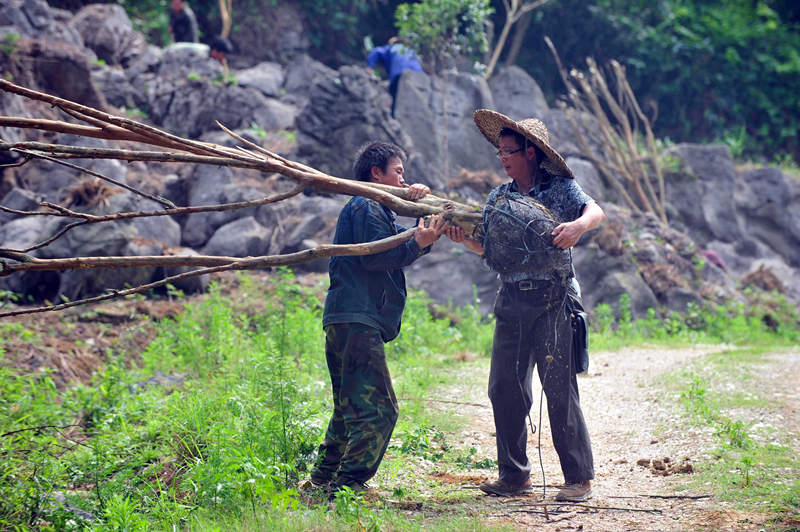 龙革雄(左)扛起树苗,准备上山植树造林(2013年5月15日摄).