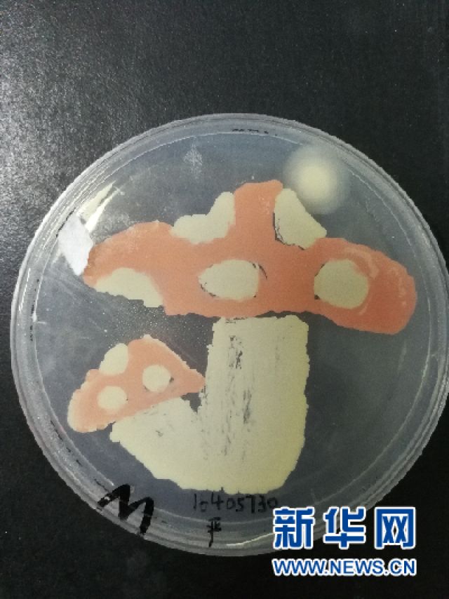 本次"皿上添花"微生物培养皿艺术大赛人气作品《超级马里奥》