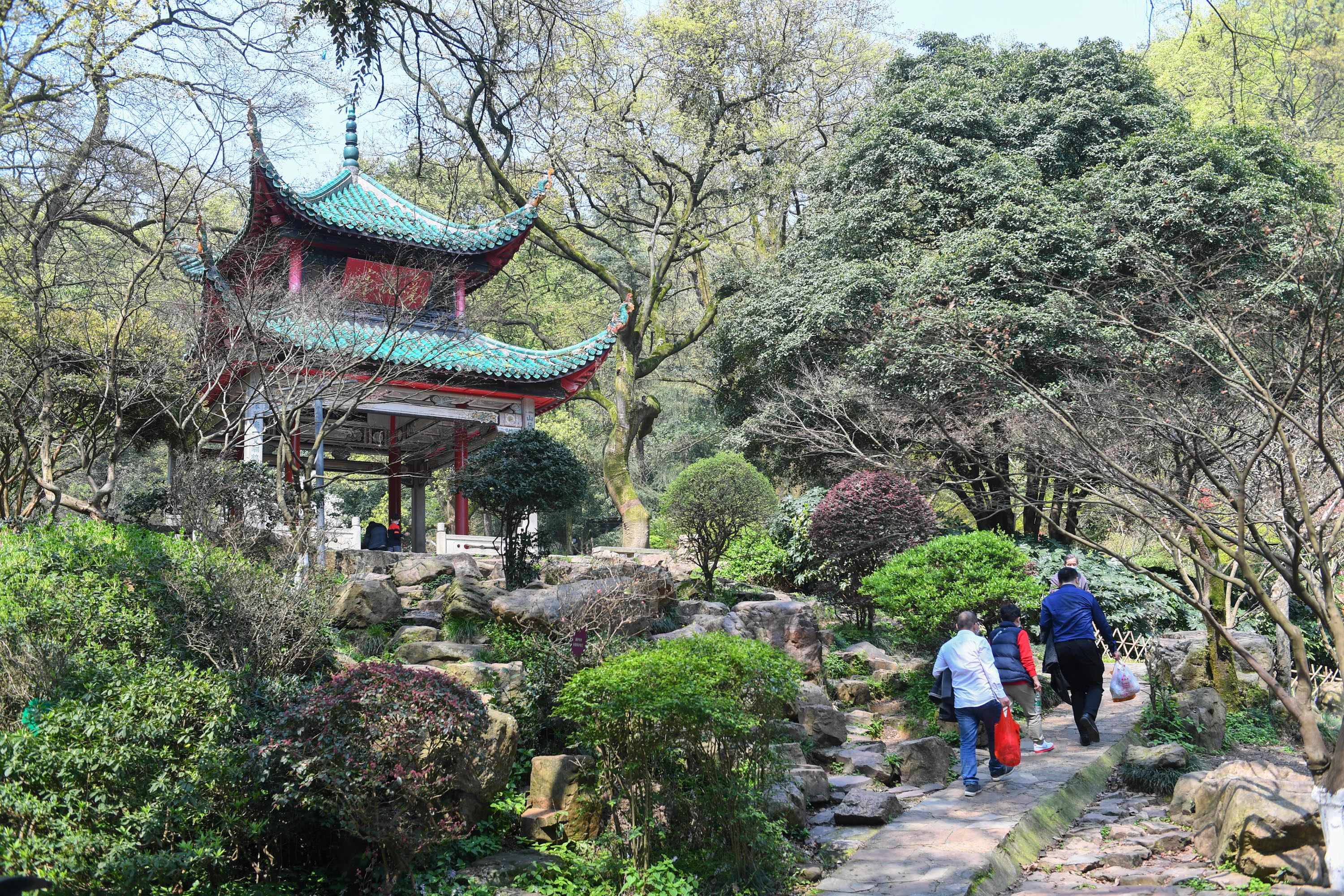 3月19日,游客在长沙岳麓山风景区的爱晚亭游览.