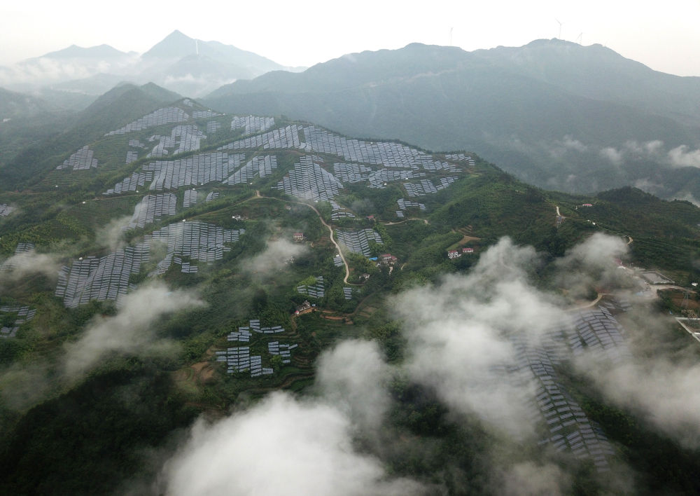 金寨县桃岭乡高湾村的茶产业扶贫和光伏扶贫项目.