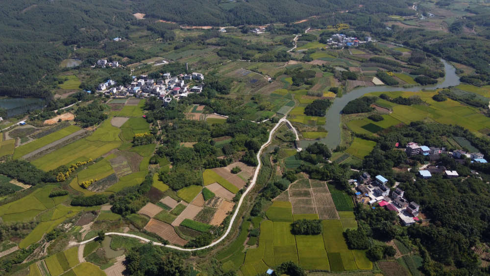 "花经济"如何"盘活"一个小山村