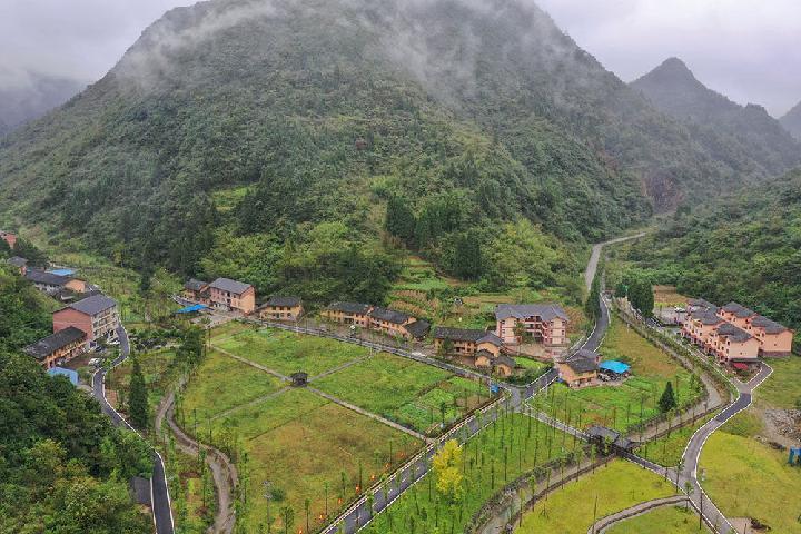 黄连苦蜂蜜甜旅游乐重庆南川区庙坝村脱贫致富记