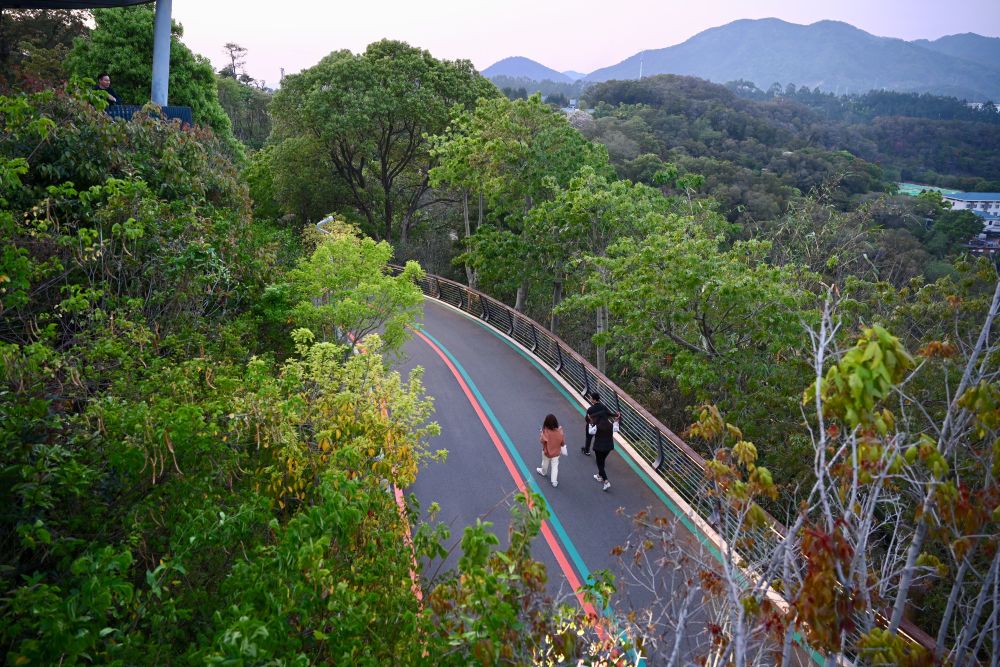 福州:逛福山郊野公园 赏森林城市美景