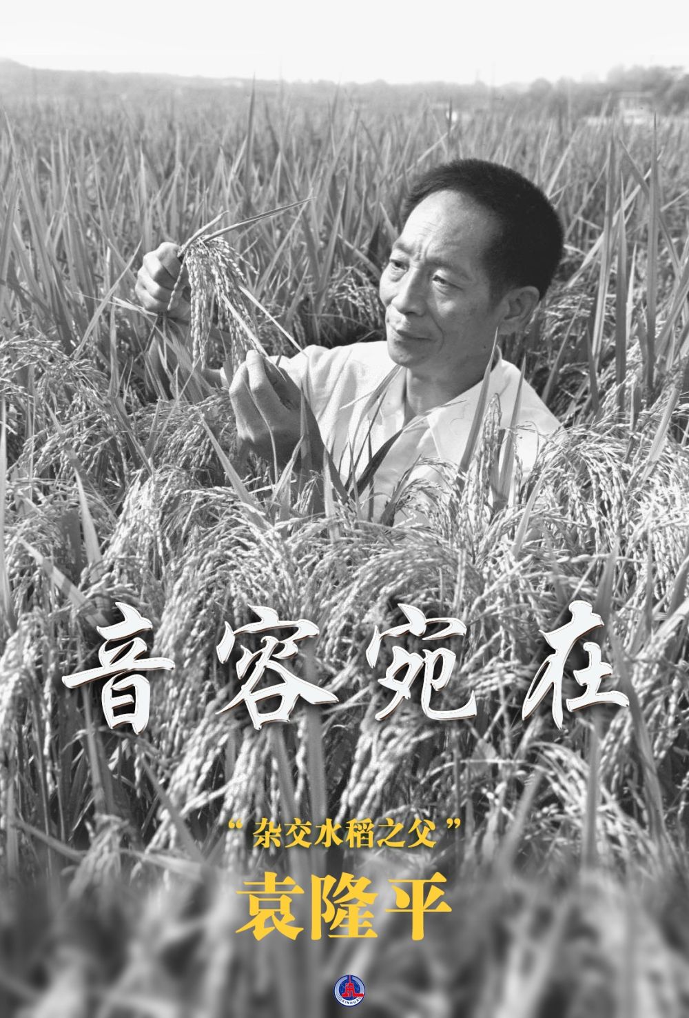 海报丨缅怀杂交水稻之父袁隆平