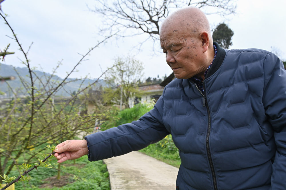 新华社记者 周相吉 摄当地无论大人小孩,见到这位老人时,都亲切地喊