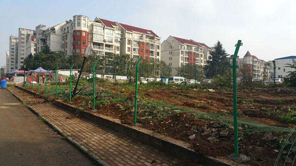 竖起公共绿地保护墙 守护你我绿色家园