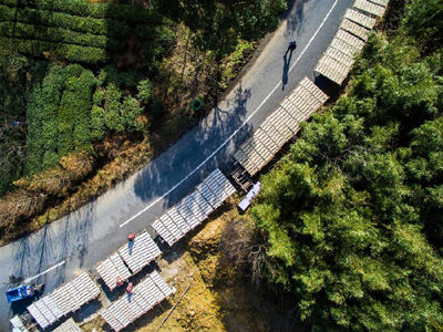 12月3日,浙江湖州埭溪镇莫家栅村的村民在晾晒粉条.