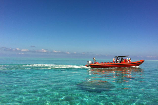 第三班航次 3月13日星期日          (北部湾之星号)