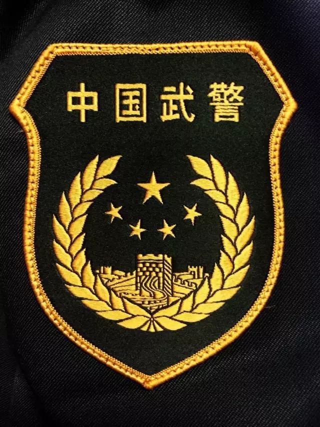 中国武警臂章图图片