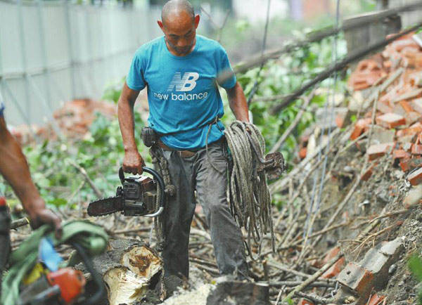 "都市伐木人":腰插砍刀足蹬脚扣