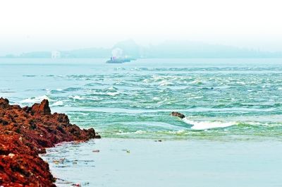 炸坝之后,高水位的梁子湖水涌向牛山湖.