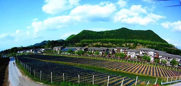 西充|農旅結合 鄉村旅遊風生水起