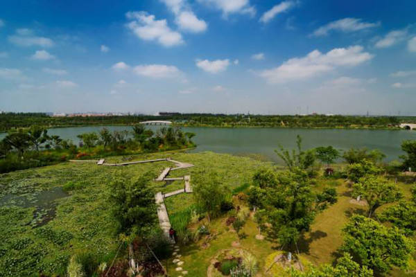 花橋天福國家溼地公園,崑山城市生態森林公園,巴解園,澱山湖等,走走