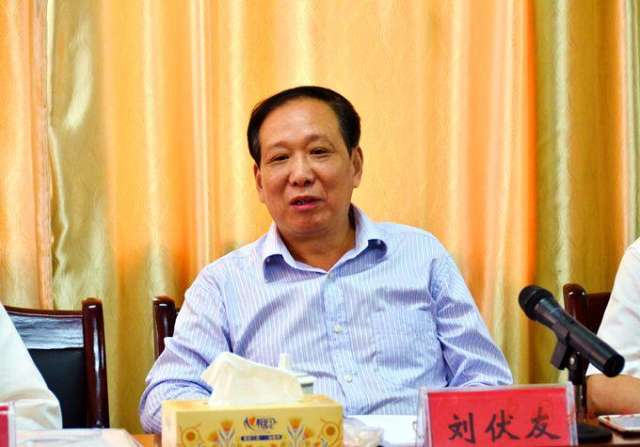 图为中南大学原校长,党委书记胡冬煦在揭牌仪式讲话,对医疗协作