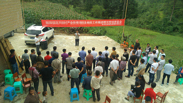 龙里醒狮镇:肉牛养殖脱贫山区带来"新生机"