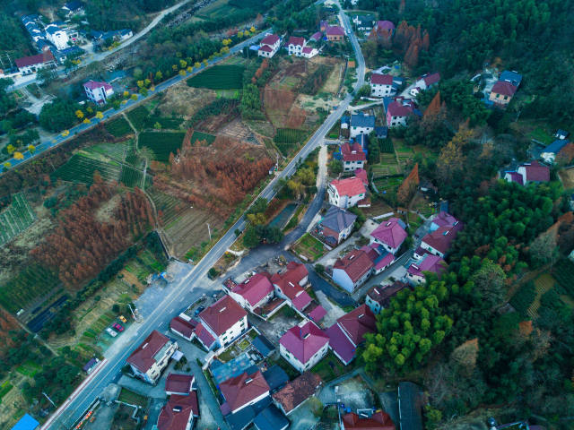安吉县报福镇洪家村的美景(12月8日摄).