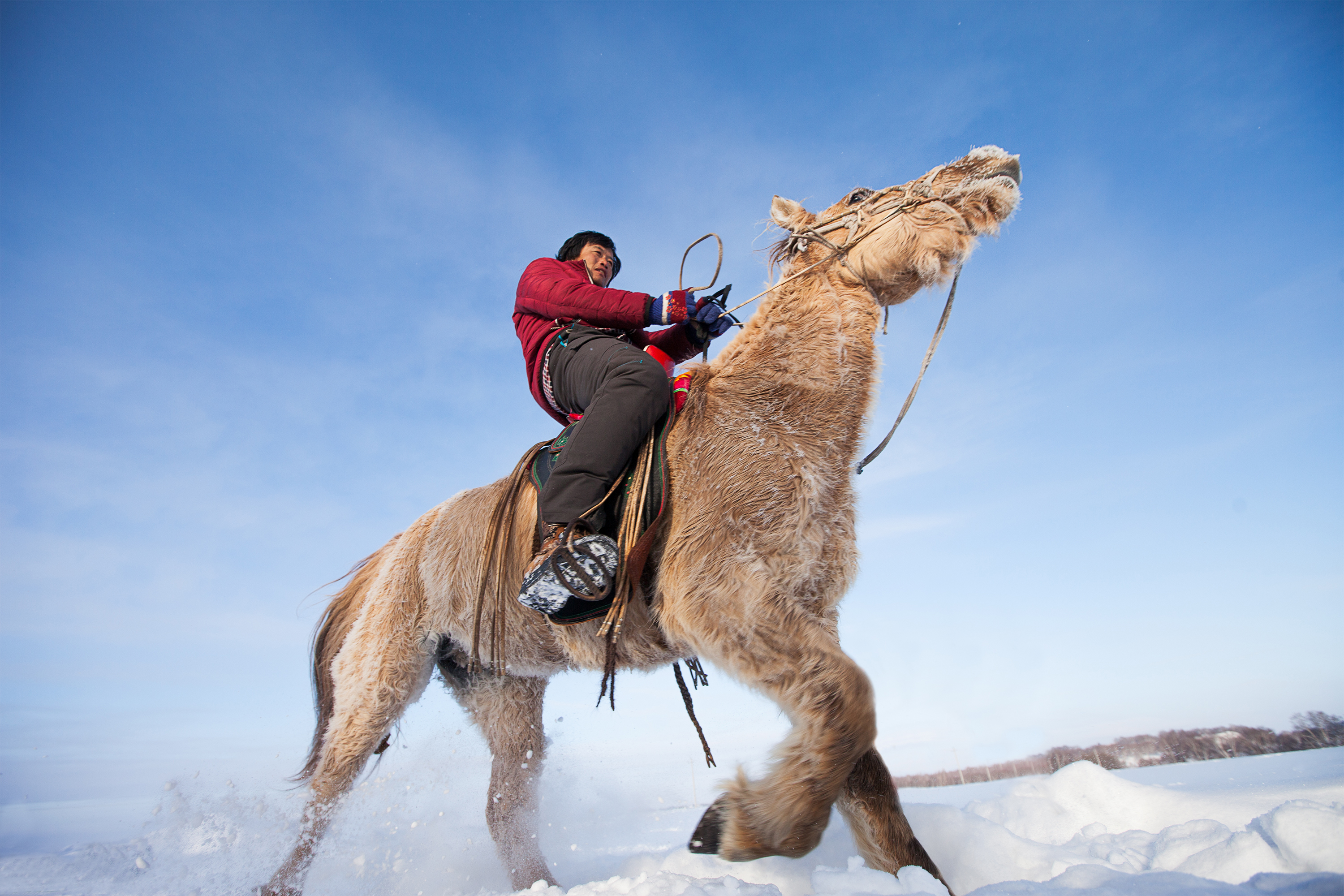 马背上的民族展现的是高超的骑术