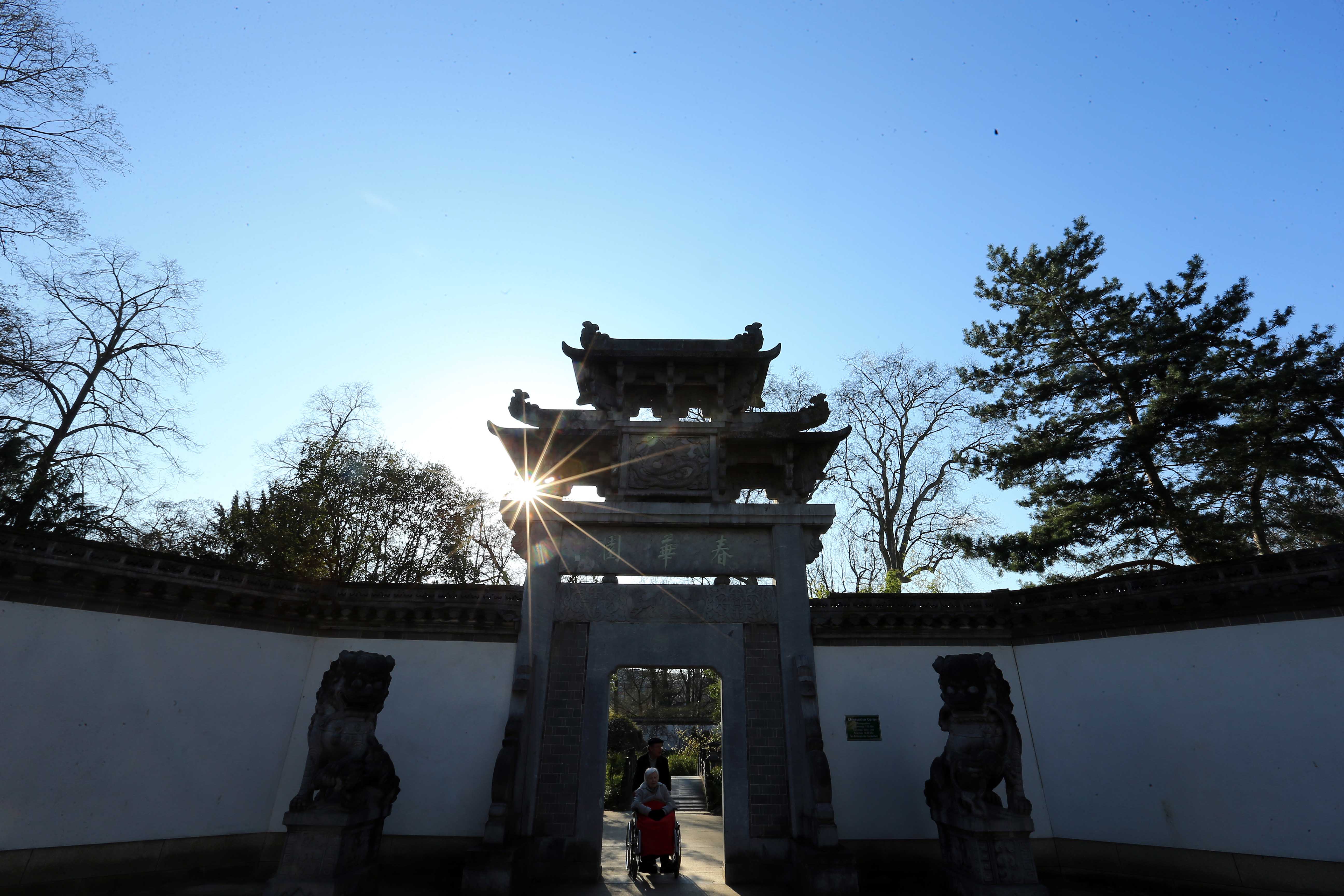 法兰克福中国花园 早春暖阳