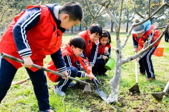 第39个植树节珍贵老照片记录上海三代人的指数情缘新华社客户端2017年