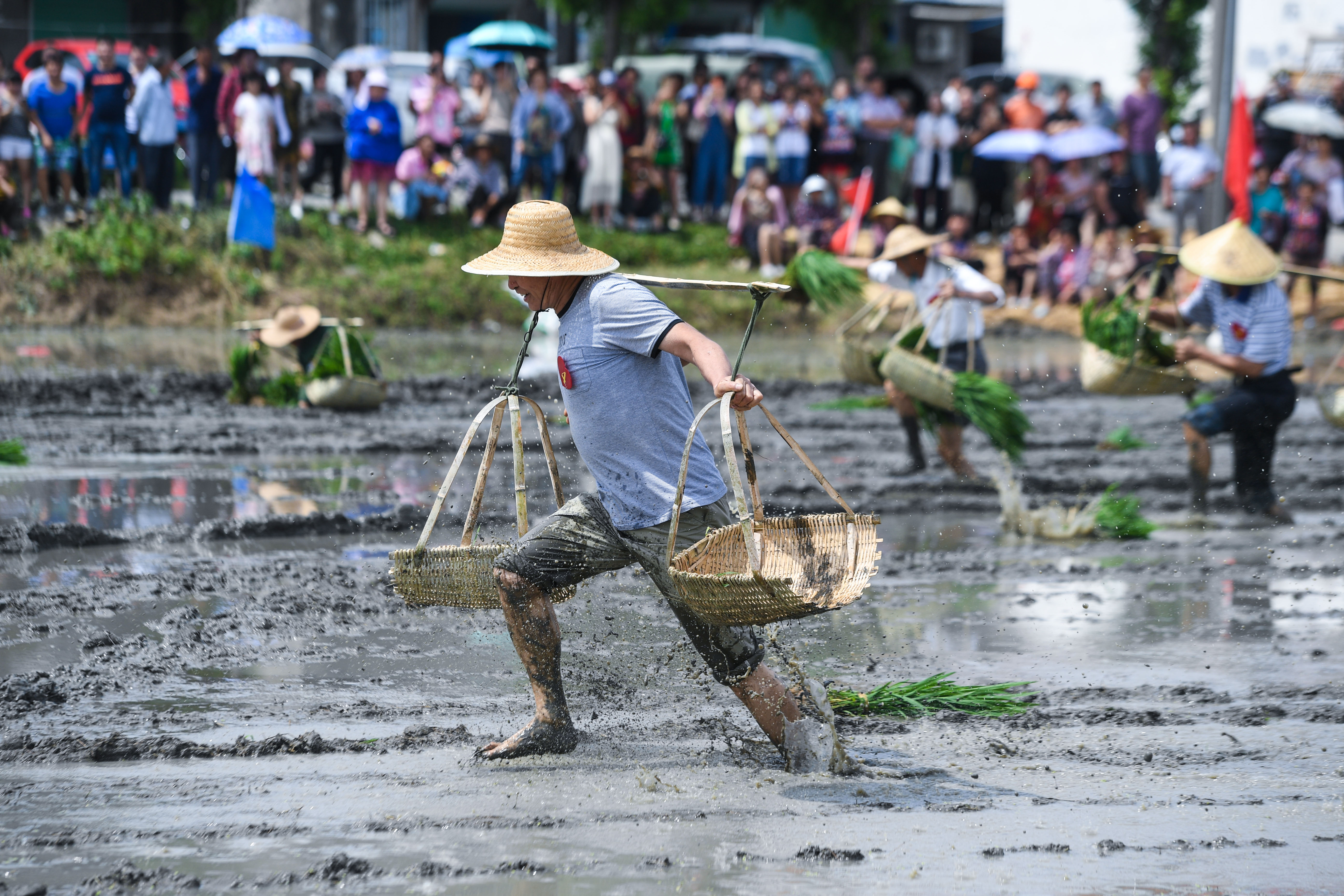 太湖南岸乡村举行"农耕趣味运动会"