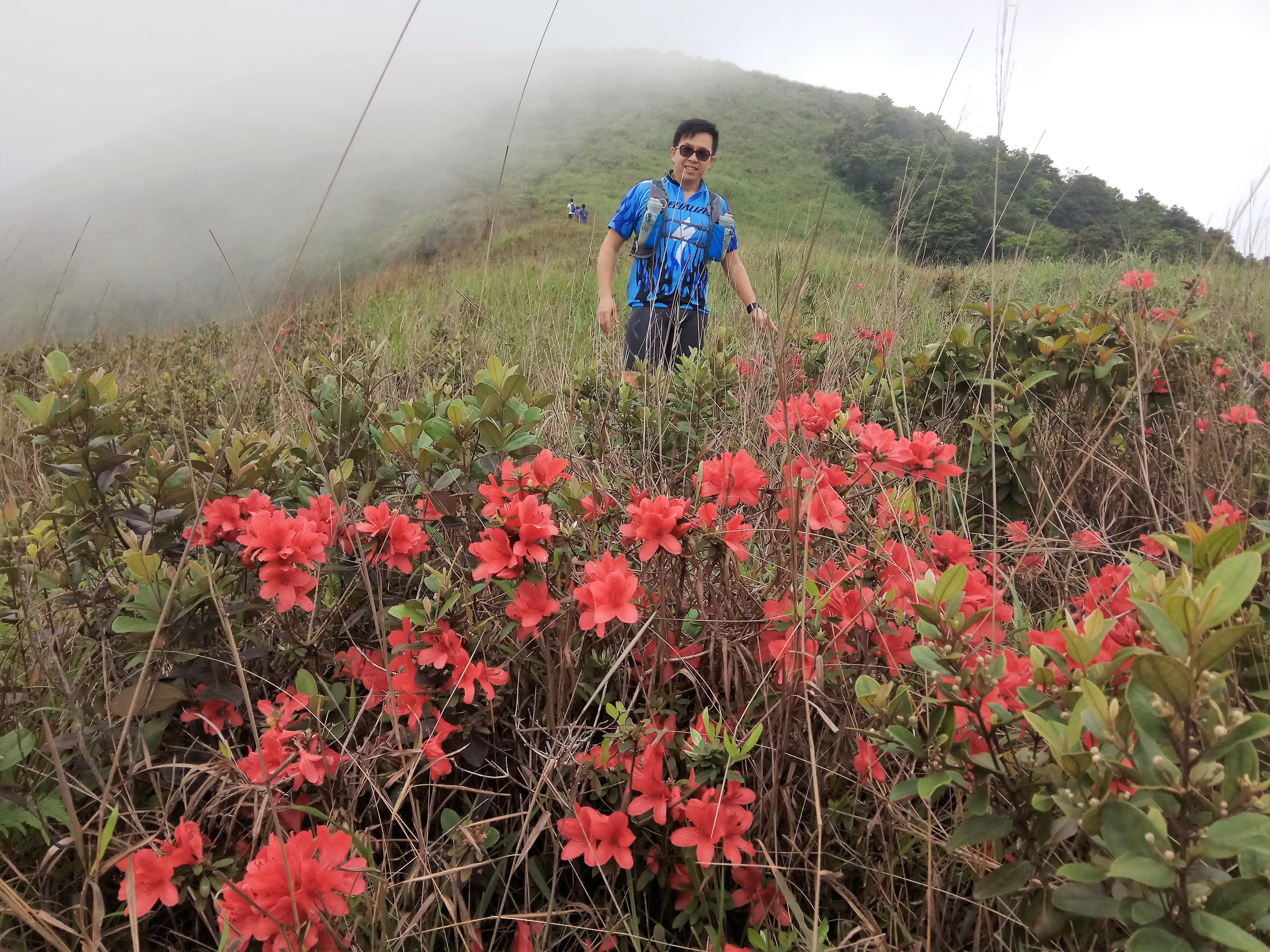 那些年 我们一起走过的香港行山径
