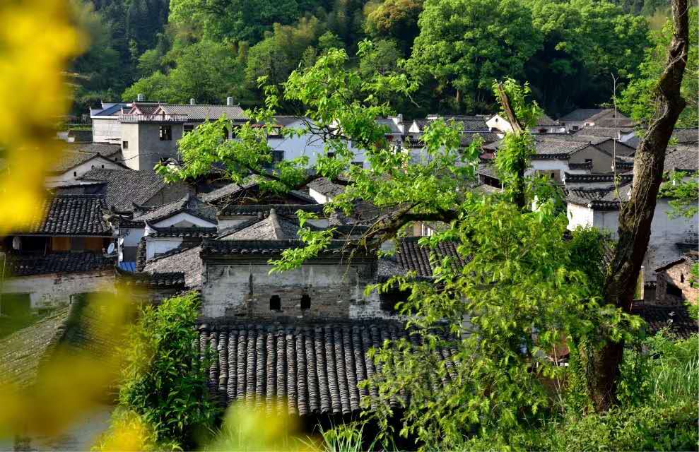 严台村人口_人口普查(2)