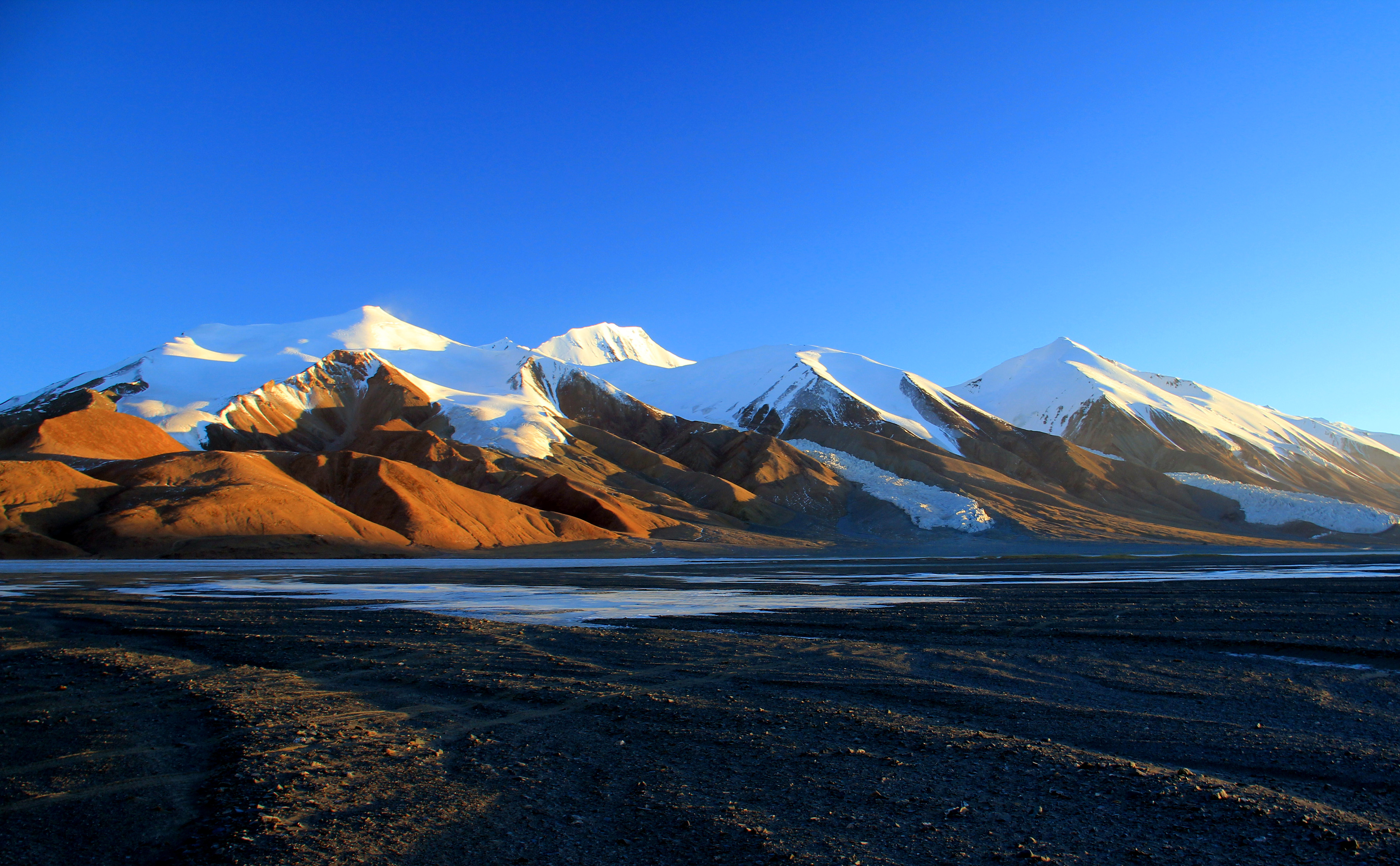 (新华社发,资料照片,可可西里国家级自然保护区管理局提供)