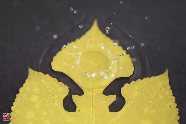 玩命猜成语石头一滴水_一滴水图片(3)