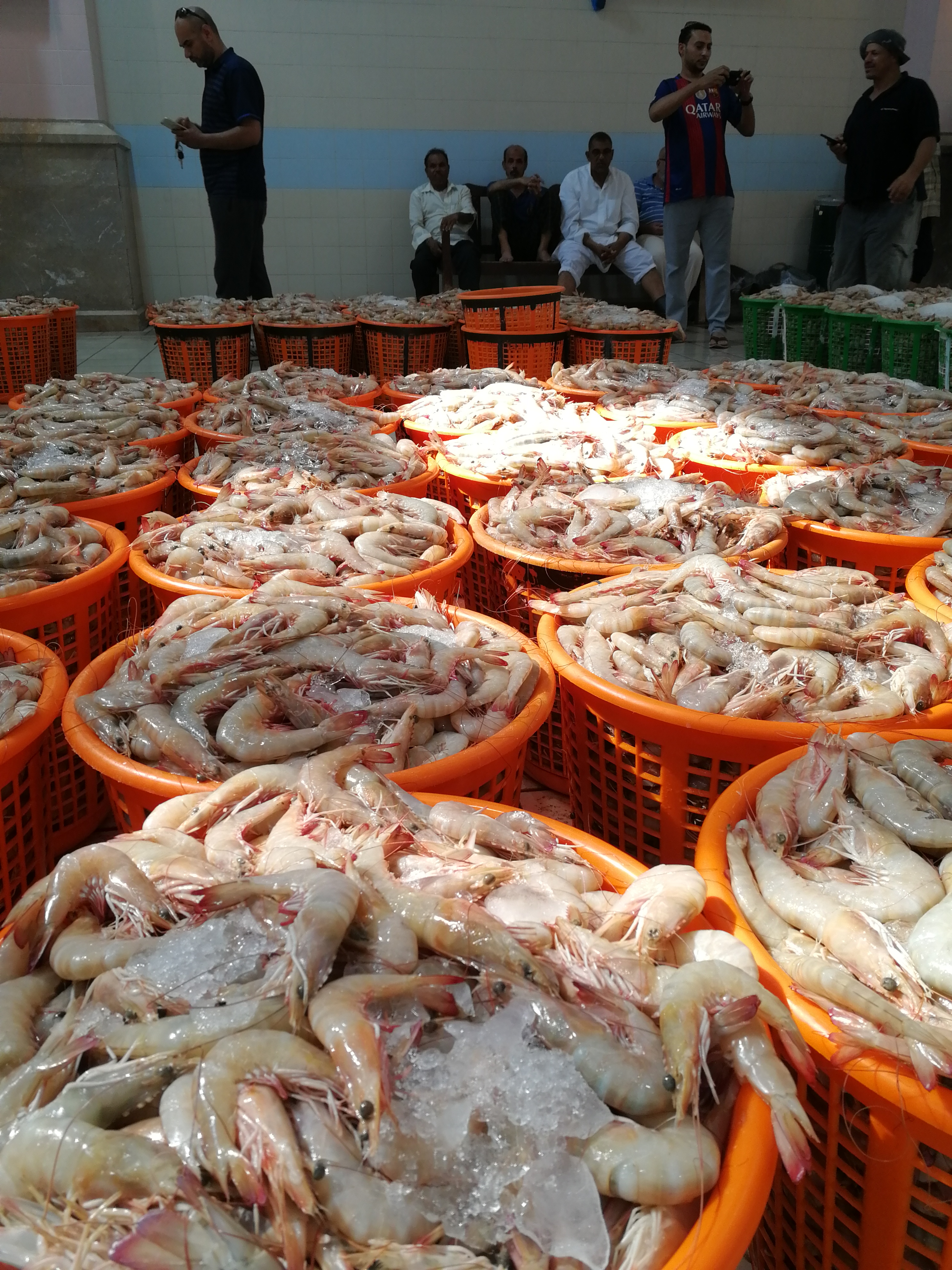 科威特特色海鲜市场鱼市